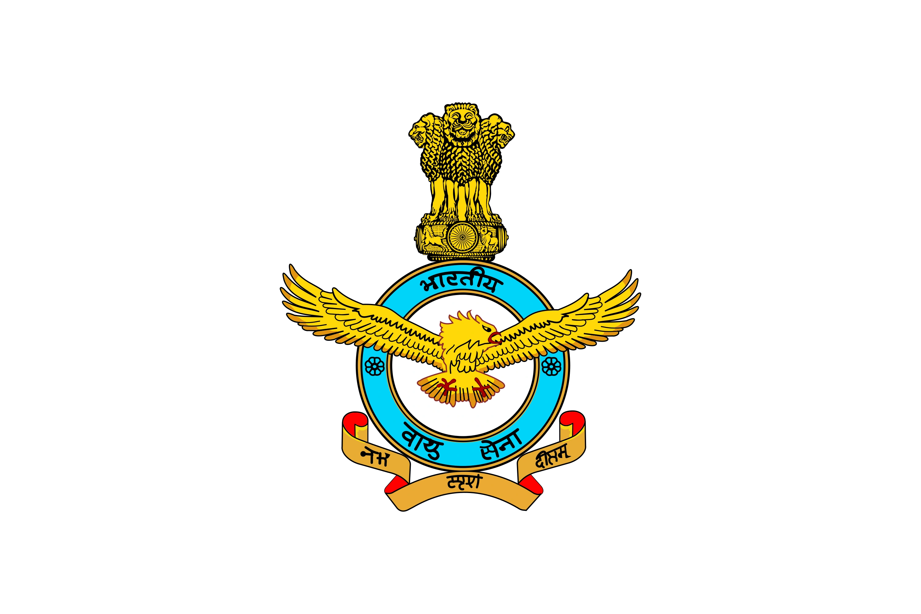 Indian Air Force logo
